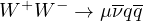 WW (muon-neutrino/two quark)
