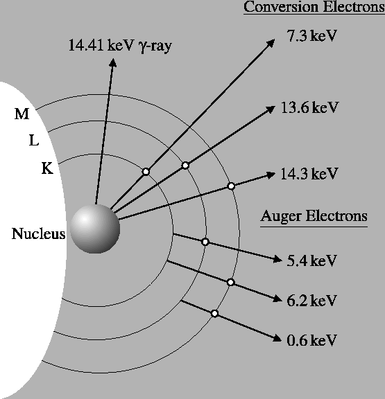 \includegraphics[scale=0.6,angle=0]{mossbauer_figs/cems_decay}
