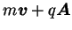 $ m\boldsymbol{v} + q\boldsymbol{A}$