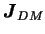 $ \boldsymbol{J}_{DM}$